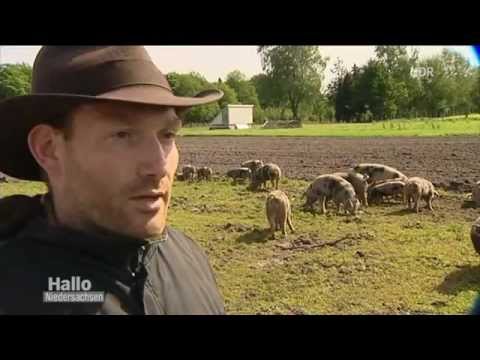 Gemeinschaftshof Pente bei Bauernschlau im NDR