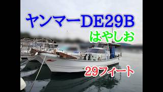 ヤンマー DE29Bはやしお の紹介Youtube動画