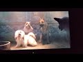 He S A Tramp Full Scene Lady And The Tramp 2019