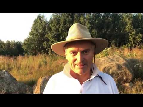 EP 14 | The Great Giants - Claws And Meat | Preview