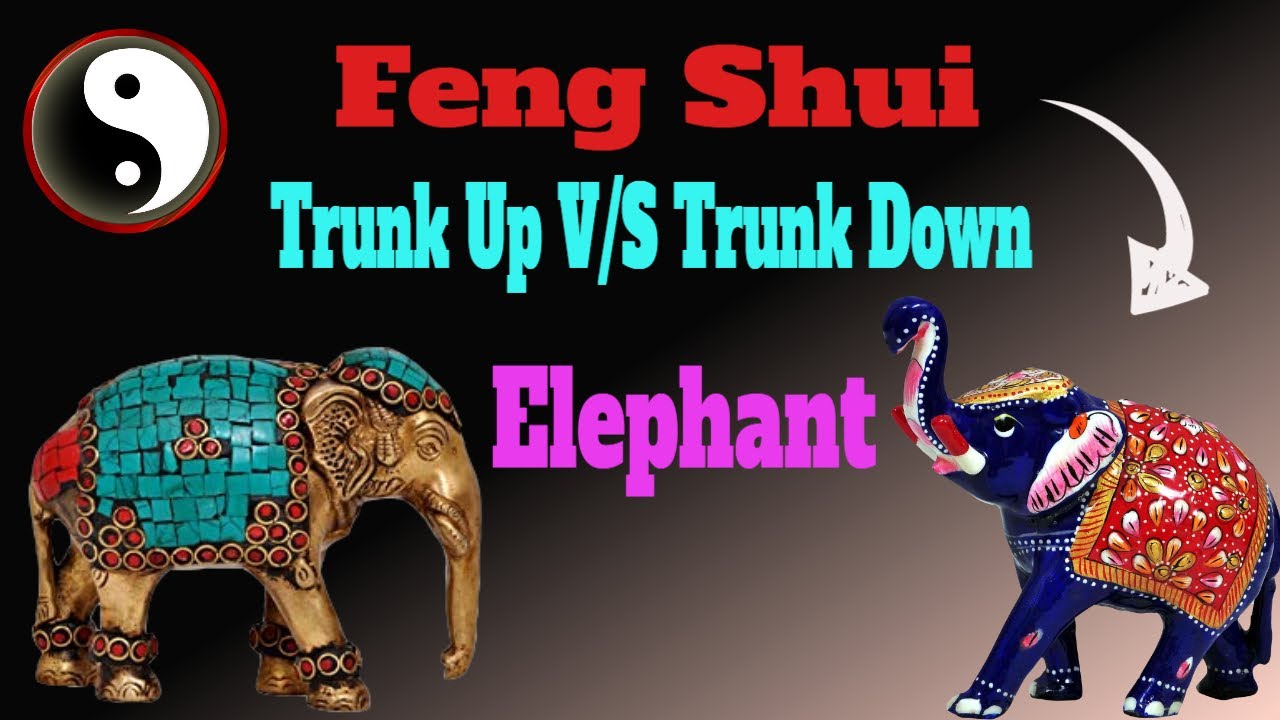 What is the meaning of an elephant’s trunk up or down? Any Answer