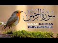 Surah Ar-Rahman|| Ahmad Saud || Most beautiful recitation of quran|| The Muslim Truth