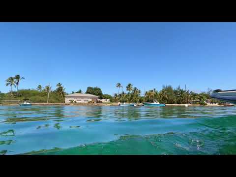 Andros September 2021