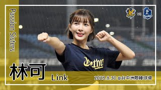 【台湾チア】林可 Link / Passion Sisters / 2023.8.30 王政順,許基宏,詹子賢 應援曲 + 嗆司曲 黃潮來襲 + 連霸黃潮 [中文歌詞]
