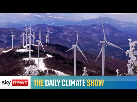 Renewable energy has a record year - but is it enough?