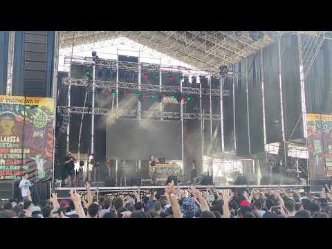 Las Ninyas del Corro - Tomoe Gozen DIRECTO GRIMEY x PALESTINA