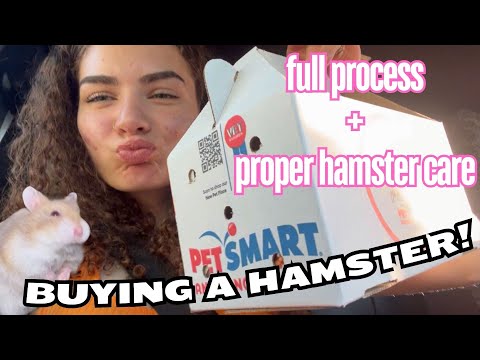 getting a hamster // haul, shopping, cage set up, etc