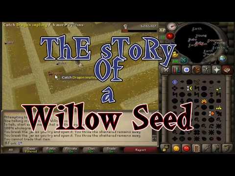 Conquest For A Willow Seed