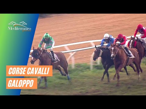 Galoppo corse  del 28 Gennaio 2023