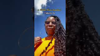 5 FUN THINGS TO DO IN SOUTH FLORIDA. 🌴 #thingstodoinmiami #southflorida #familyfun #miami #soflo