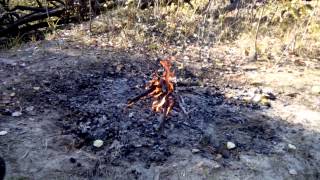 preview picture of video 'Пікнік у лісі Брусилів 11 жовтня 2014'