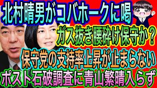 【日本保守党】北村晴男が小林鷹之に喝！ガス抜き腰砕け保守か？／青山繁晴がポスト石破調査で圏外／あさ8とNJの明確な違い