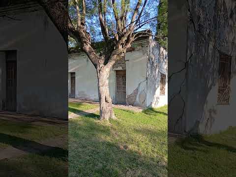 Almacén Patat. Colonia Avellaneda. Parana Campaña. Entre Rios