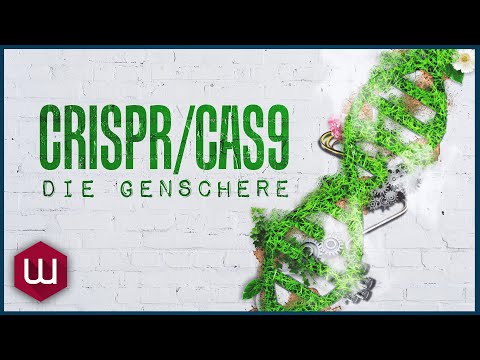 Chemie-Nobelpreis 2020: Wie funktioniert CRISPR/Cas9