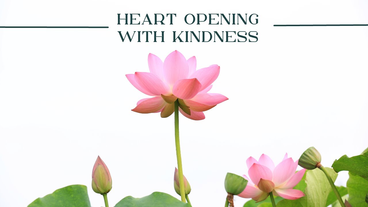 Heart Opening Meditation - Kindness