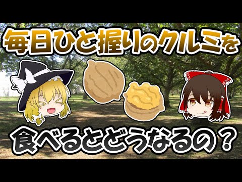 くるみについて詳しく解説