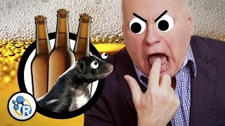 Why Does Beer Get Skunked?