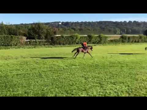 GHOSTWATER au galop^(voir cavalier en rouge)