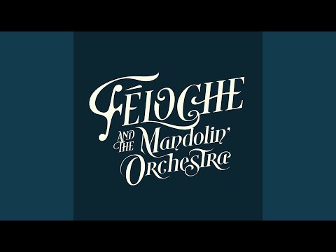 Ouverture à la féloche