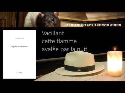 Leçons de ténèbres Recueil de Corinne Hoex Aux éditions Le Cormier - Willy Lefèvre