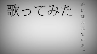 「命に嫌われている。」を歌ってみた。by Navys