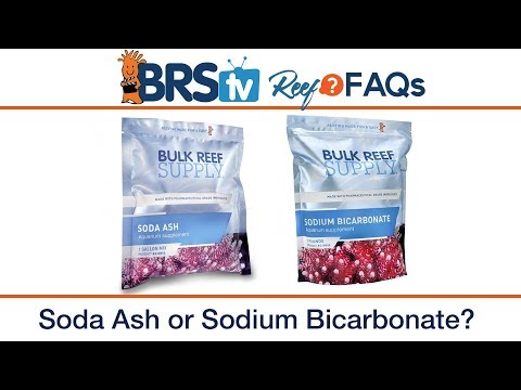 Best 2 part dosing alkalinity additive for your reef tank | Reef FAQs
