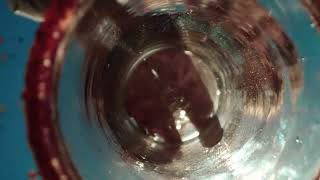 Modelo Chelada Fresa Picante: Trae El Sabor