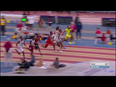 Men’s 60m - 2019 NCAA Indoor Championships