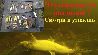 Мурманск р кола где клюет