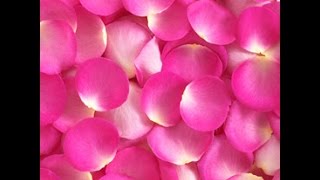 Love Attraction Spell