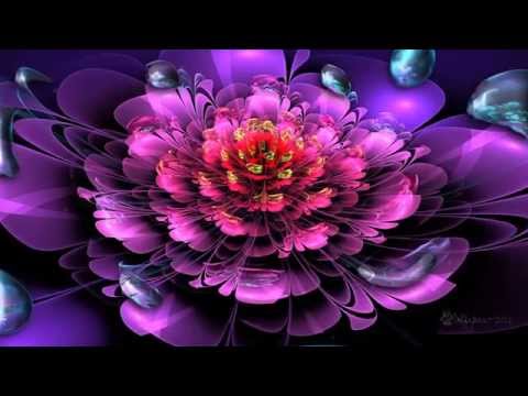 Cadê video
