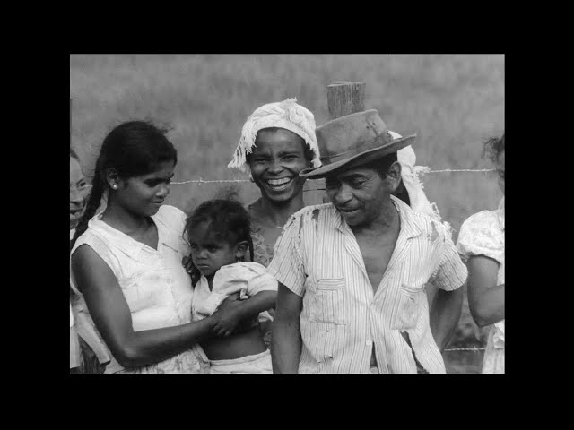 Absolute Majority (Maioria Absoluta, Leon Hirszman, 1964)