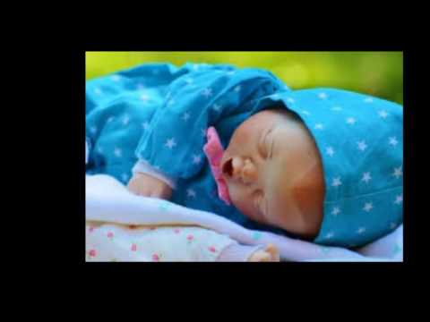 Vlug een slaapliedje