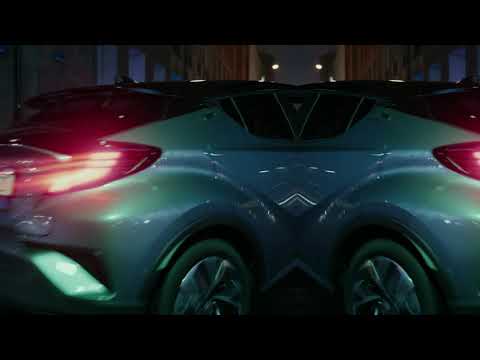 Video preview