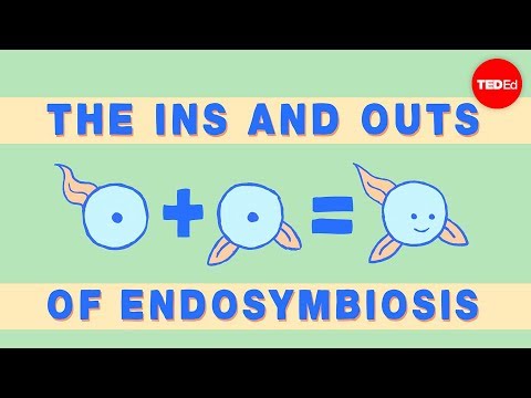 【TED-Ed】How we think complex cells evolved - Adam Jacobson