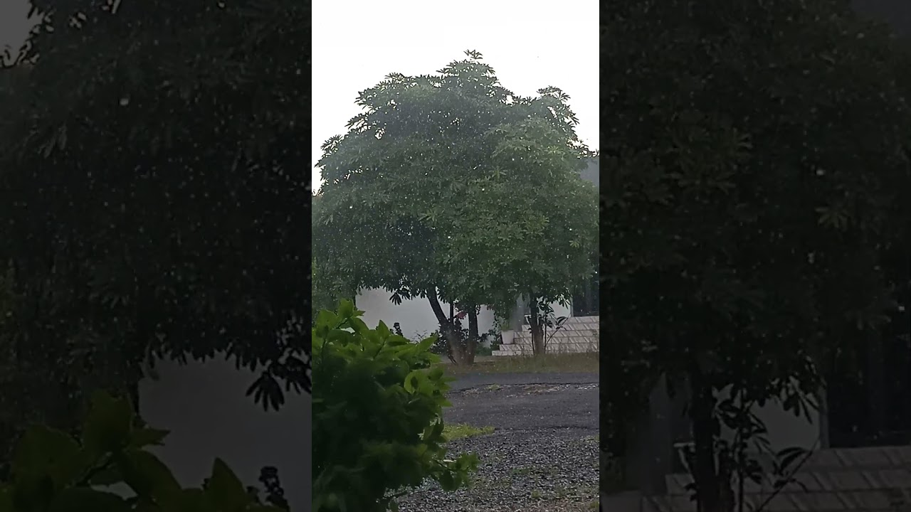 Pachai Nirame LoFi mix #song #love #music #tamil #lovesong #padhaikibatensunilsirksath #youtube ❤️