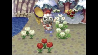 [ROM] Animal Crossing: Wild World (Day 220) "I Caught a Cockroach!"
