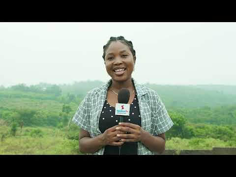 Harmattan: “The Winds of Change in 21st Century Nigeria”