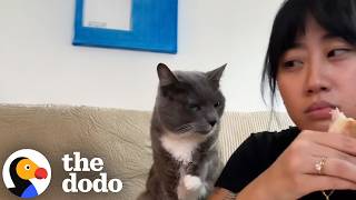 Woman In Denial Doesn&#39;t Want To Admit She&#39;s A Cat Mom | The Dodo