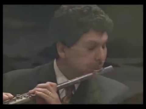 Amaral Vieira "Sonata Fantasia, op. 107a"