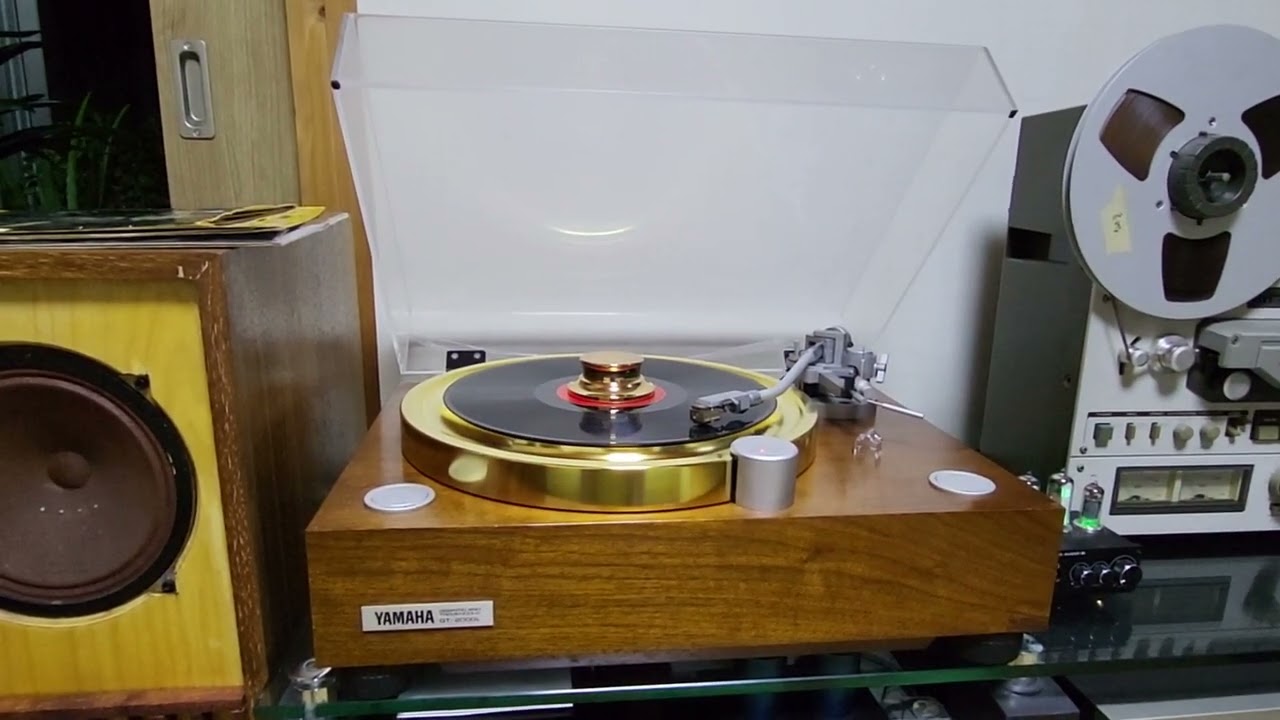 Violin and Cello 협주곡