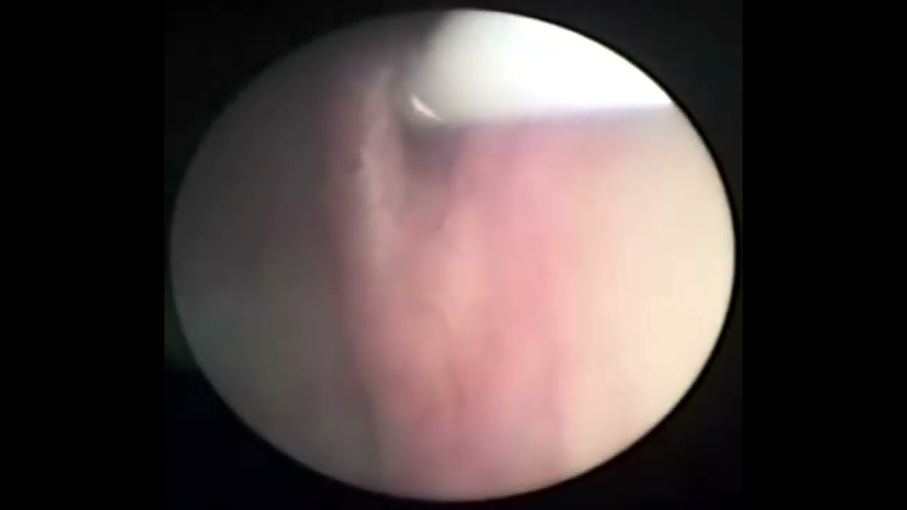 Sofía Alejandra Zubieta García-3