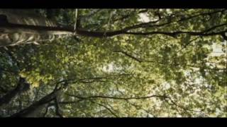 Trentemøller - Like Two Strangers