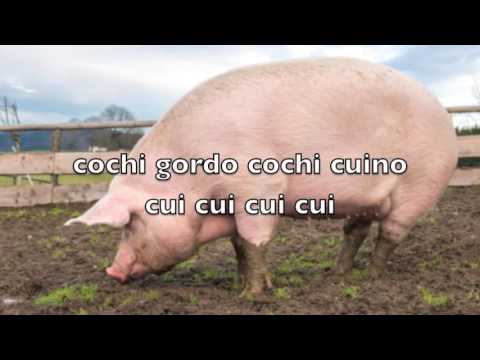 Pancho Uresti - El cochi cuino (Video Lyric)