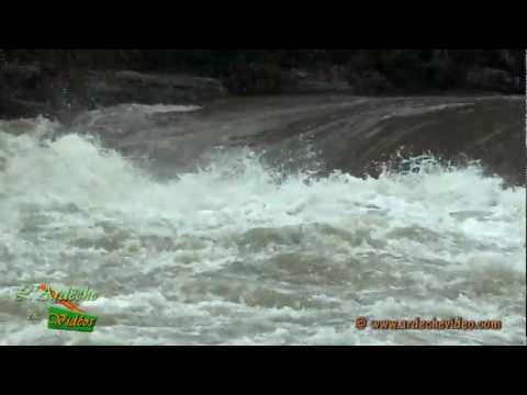 Crue de l'Ardèche, Ruoms