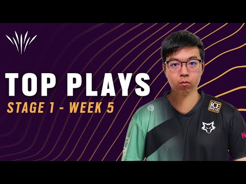 TOP PLAYS: Rainbow Six APAC South League 2022 - Stage 1 Week 5