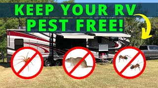 RV Pest Control (Avoid Rodents / Bugs / Spiders)!