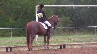 preview picture of video 'Thomas Bisagni et Léo de Bacto 1er prix CCE Poney Elite Meaux Dressage'