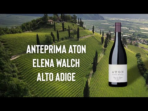 "ATON" il Pinot Noir firmato Elena Walch