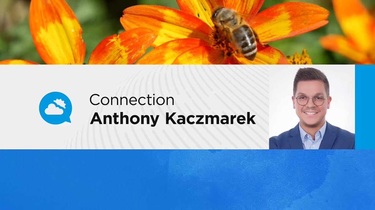 youtube video id=9iBAIQGSrGk